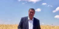 Gürer: 'Buğdayda tehlike çanları çalıyor”