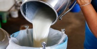 Martta içme sütü üretimi arttı