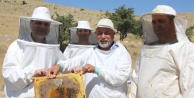 NÖHÜ'de bal hasadı başladı