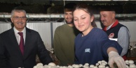 Vali Çelik, Bor İlçesinde Kültür Mantarı Üretim Tesisini Ziyaret Etti