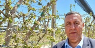 Gürer: 'Niğde'de elma üretiminde Zirai Don ile kayıp 570 bin ton.”