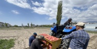 Niğde Patates Araştırma Enstitüsü'nde Bahar Hareketliliği Başladı