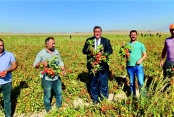 Gürer: Tarıma milli güvenlik kadar önem verilmelidir