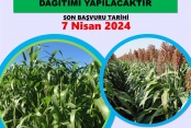 Niğde’de Çiftçilere %75 Hibeli Yem Bitkisi Desteği