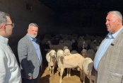 Gürer, “asgari ücrete kurbanlık koyun zor”