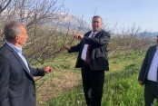 Gürer: “Niğde’de elma üretiminde Zirai Don ile kayıp 570 bin ton.”