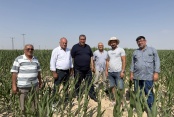 Gürer: “Mısırda ithalat üretimin yolunu kesiyor”